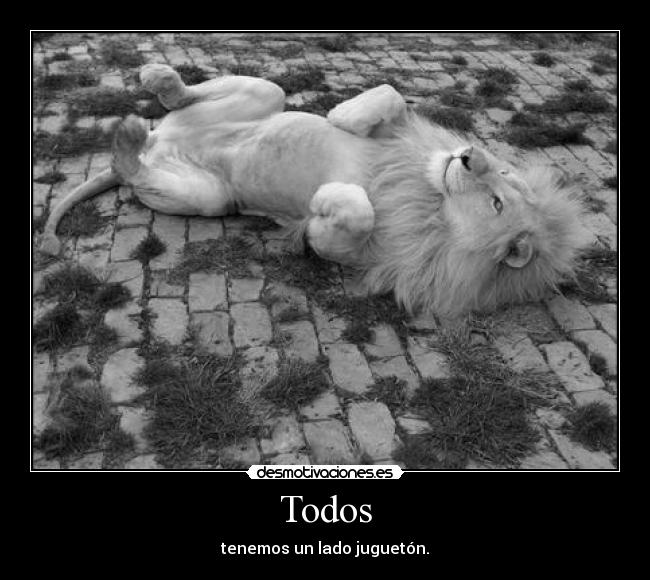 Todos - tenemos un lado juguetón.