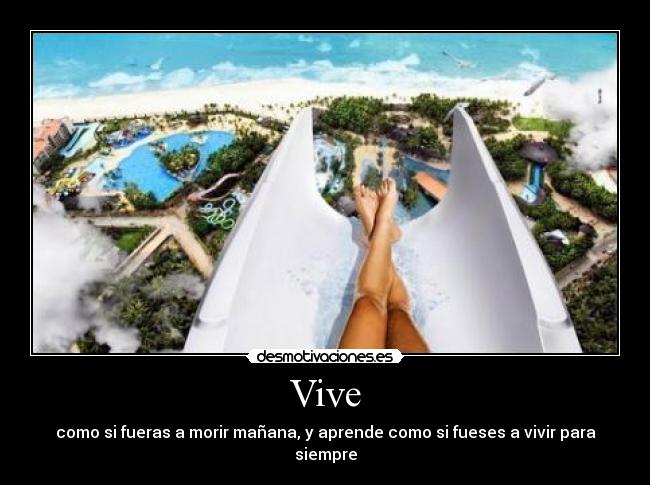 Vive - 
