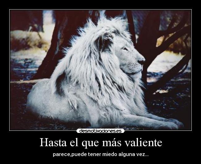 Hasta el que más valiente - parece,puede tener miedo alguna vez...