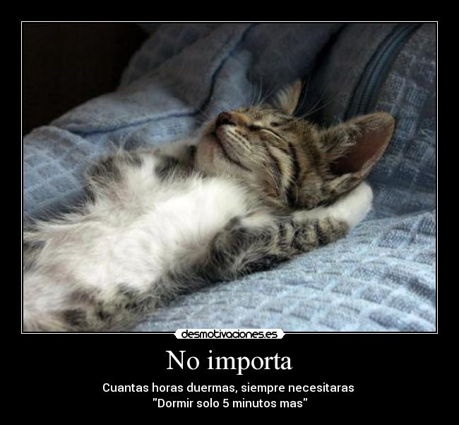 No importa - Cuantas horas duermas, siempre necesitaras
Dormir solo 5 minutos mas
