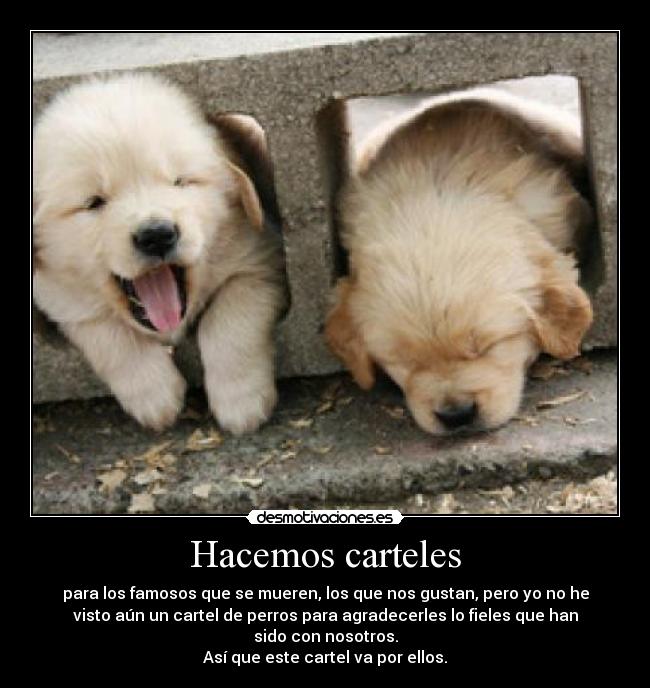 Hacemos carteles - 