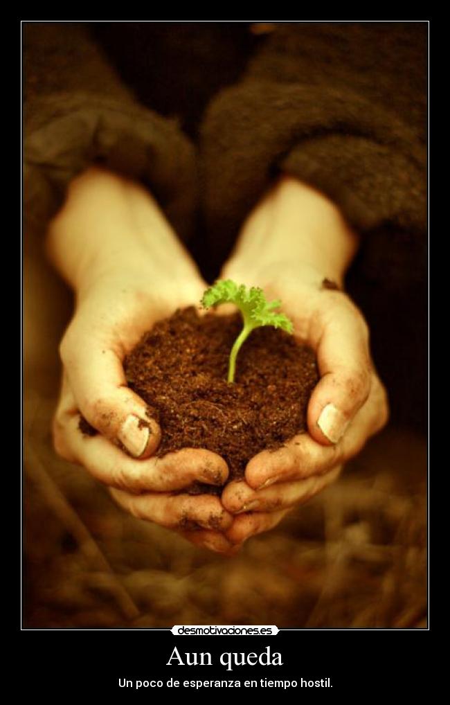 Aun queda - Un poco de esperanza en tiempo hostil.