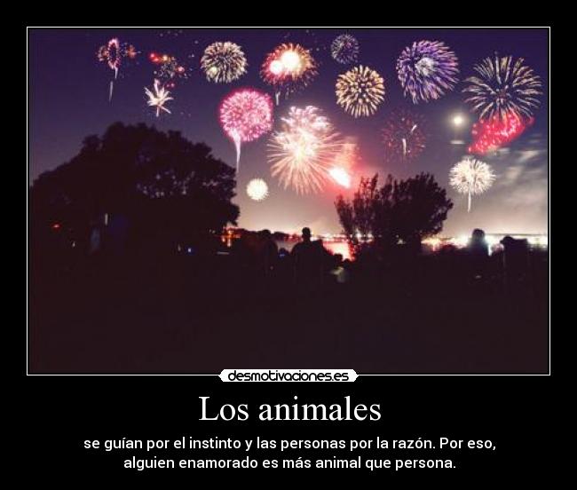 Los animales - se guían por el instinto y las personas por la razón. Por eso,
alguien enamorado es más animal que persona.