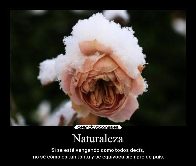 carteles naturaleza pais janette kagamine nature broken iwiiiii desmotivaciones