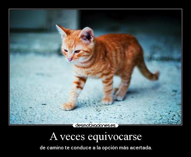 A veces equivocarse - de camino te conduce a la opción más acertada.