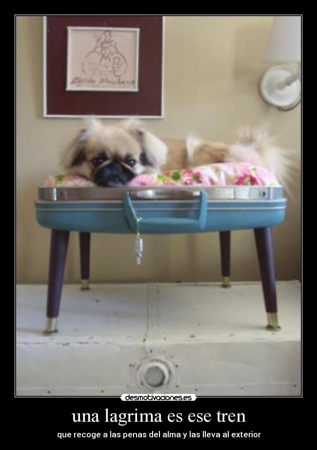 una lagrima es ese tren - que recoge a las penas del alma y las lleva al exterior