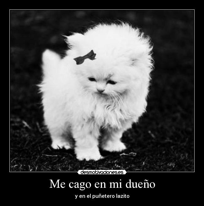 Me cago en mi dueño - y en el puñetero lazito