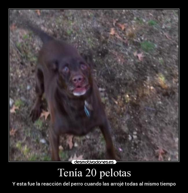 Tenía 20 pelotas - 