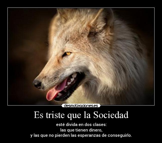 Es triste que la Sociedad - esté divida en dos clases:
las que tienen dinero,
y las que no pierden las esperanzas de conseguirlo.