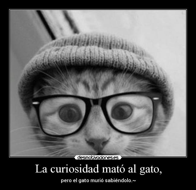 La curiosidad mató al gato, - 