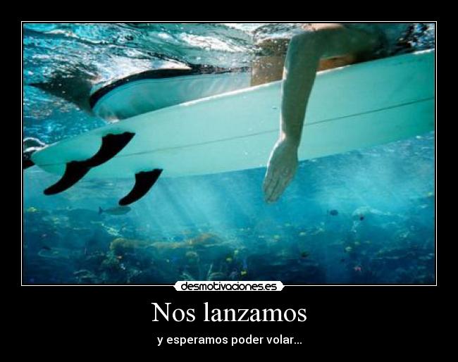 Nos lanzamos - y esperamos poder volar...