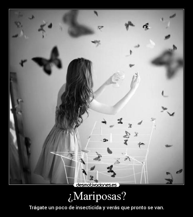 ¿Mariposas? -