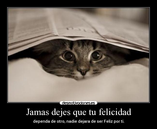 Jamas dejes que tu felicidad -