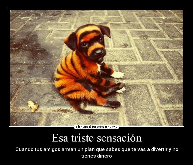 Esa triste sensación - 