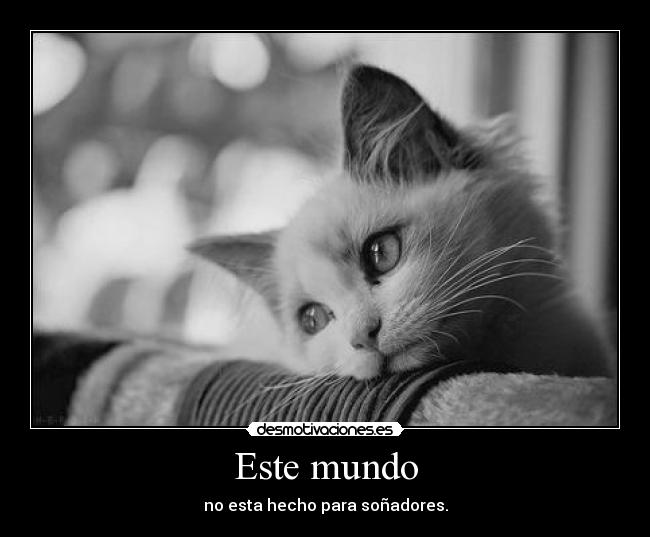 carteles mundo este mundo desmotivaciones