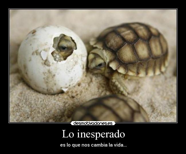 Lo inesperado - es lo que nos cambia la vida...