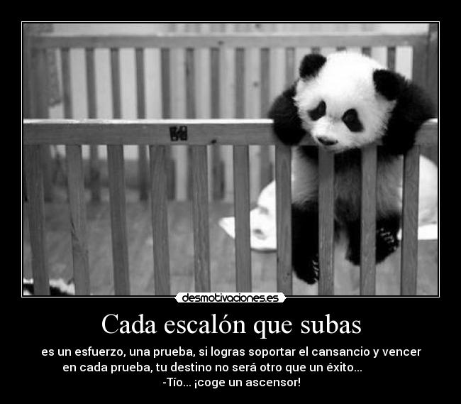 carteles desmotivaciones