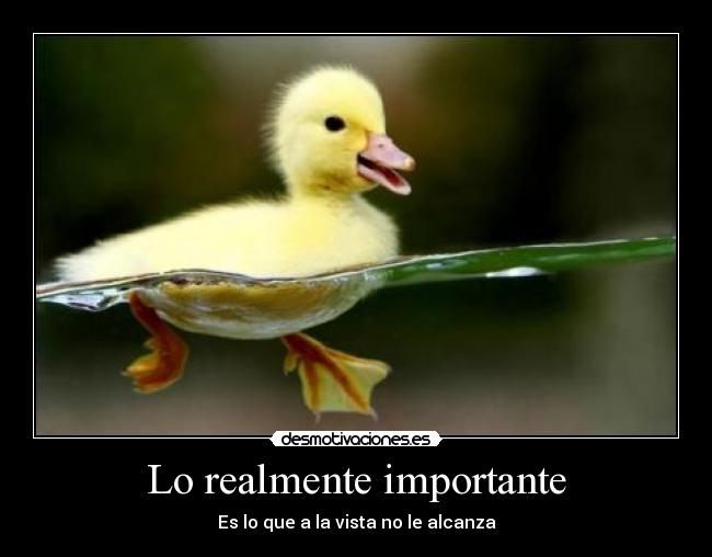 Lo realmente importante - 