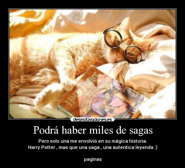 Podrá haber miles de sagas - Pero solo una me envolvió en su mágica historia.
Harry Potter , mas que una saga , una autentica leyenda :)
paginas