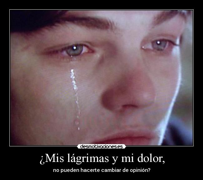 ¿Mis lágrimas y mi dolor, - no pueden hacerte cambiar de opinión?