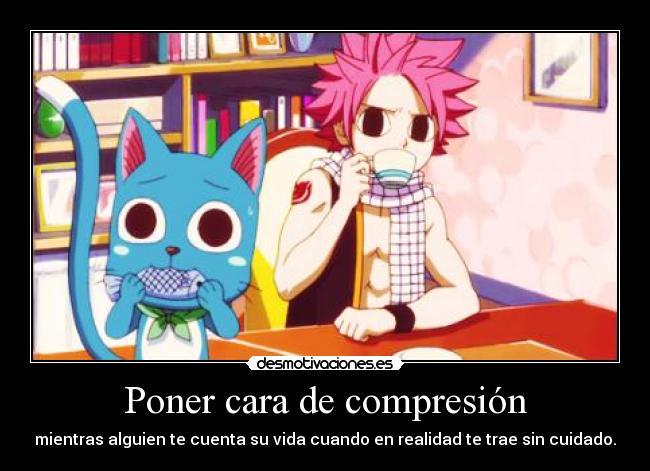 carteles fairy tail natsu happy harukaze desmotivaciones