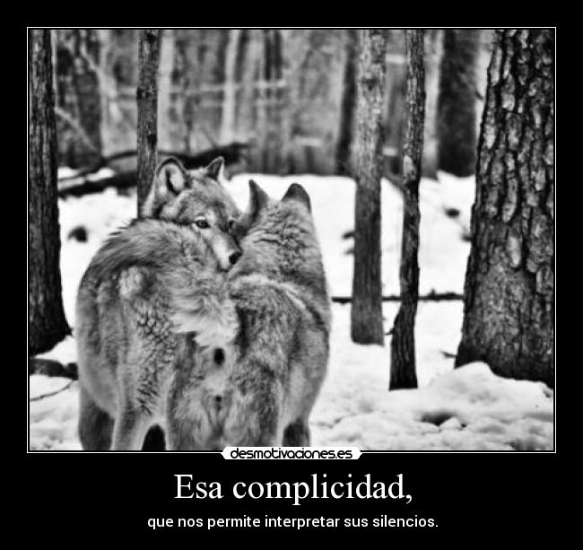 Esa complicidad, -