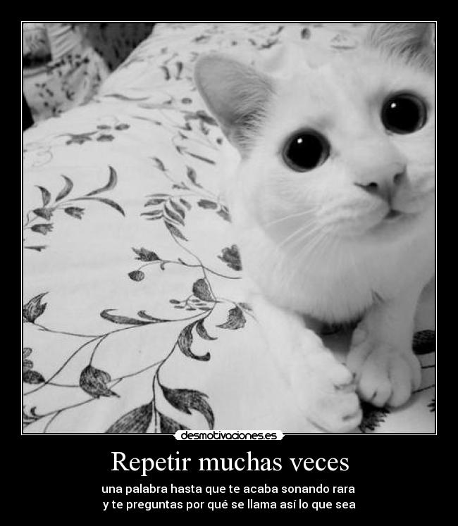 Repetir muchas veces - 