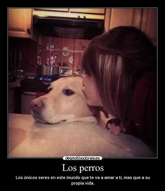 Los perros -
