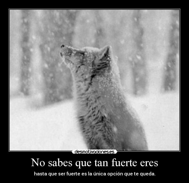 No sabes que tan fuerte eres - hasta que ser fuerte es la única opción que te queda.