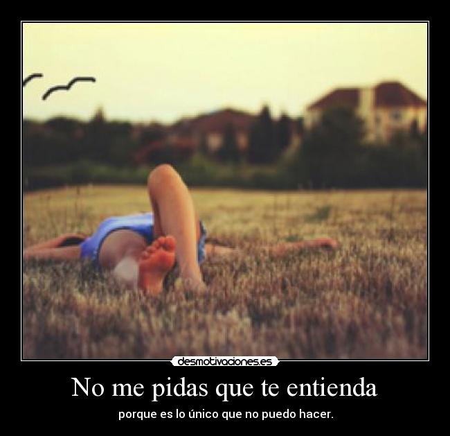 No me pidas que te entienda - 