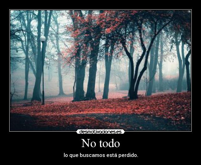 No todo - 