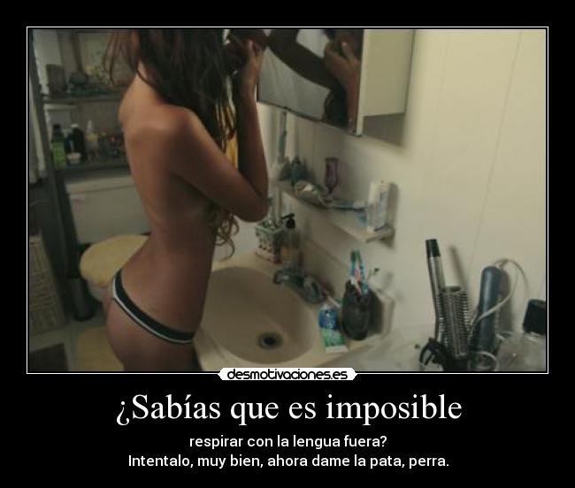 ¿Sabías que es imposible - respirar con la lengua fuera?
Intentalo, muy bien, ahora dame la pata, perra.