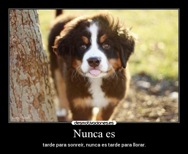 Nunca es - tarde para sonreír, nunca es tarde para llorar.