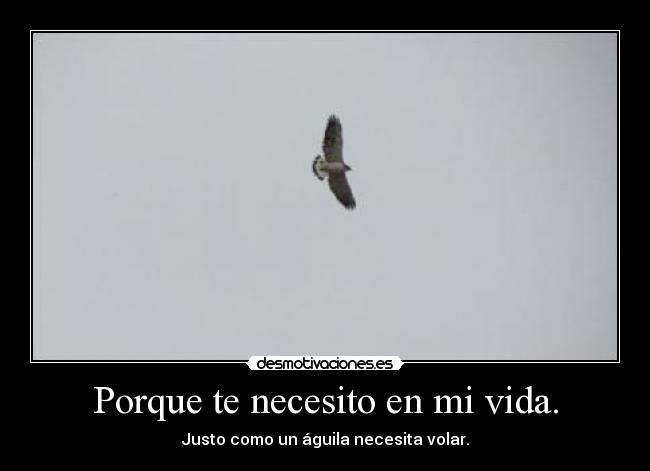 Porque te necesito en mi vida. - Justo como un águila necesita volar.