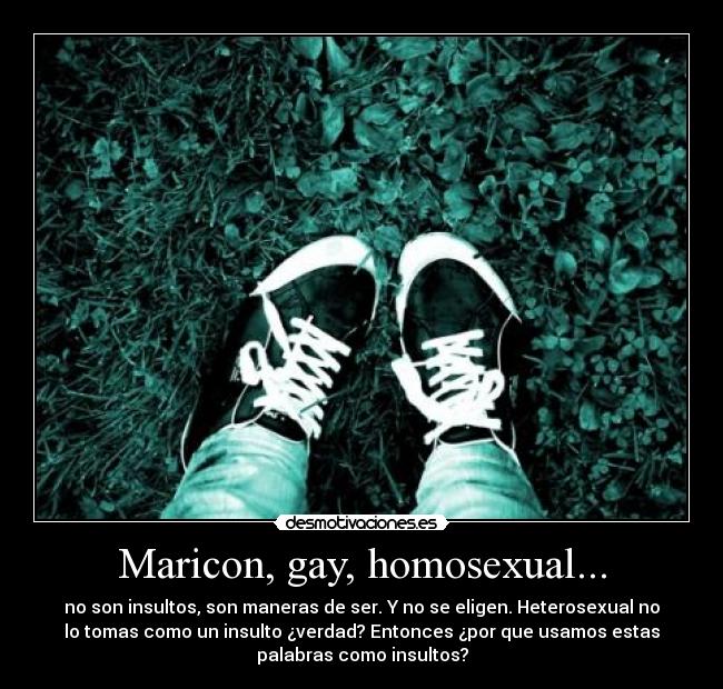 Maricon, gay, homosexual... - 