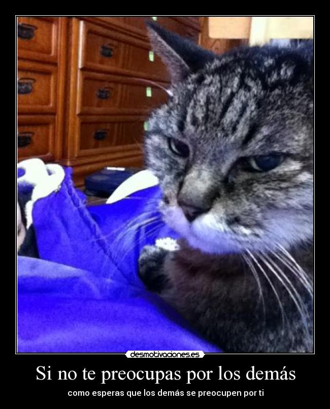 Si no te preocupas por los demás - 