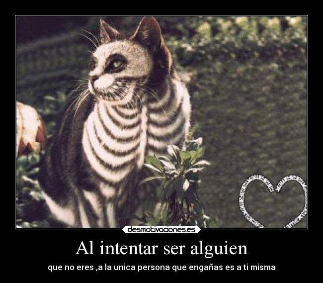 Al intentar ser alguien - que no eres ,a la unica persona que engañas es a ti misma