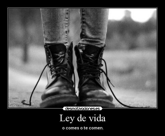 Ley de vida - 