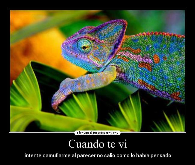 Cuando te vi - intente camuflarme al parecer no salio como lo había pensado