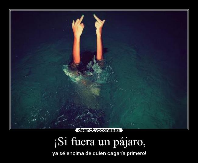 ¡Si fuera un pájaro, - ya sé encima de quien cagaría primero!