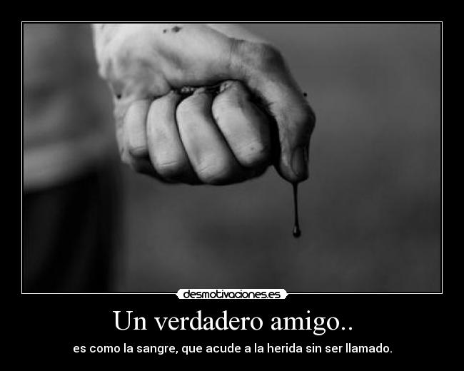 Un verdadero amigo.. -