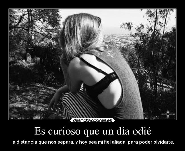 Es curioso que un día odié - 
