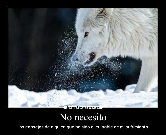 No necesito - 