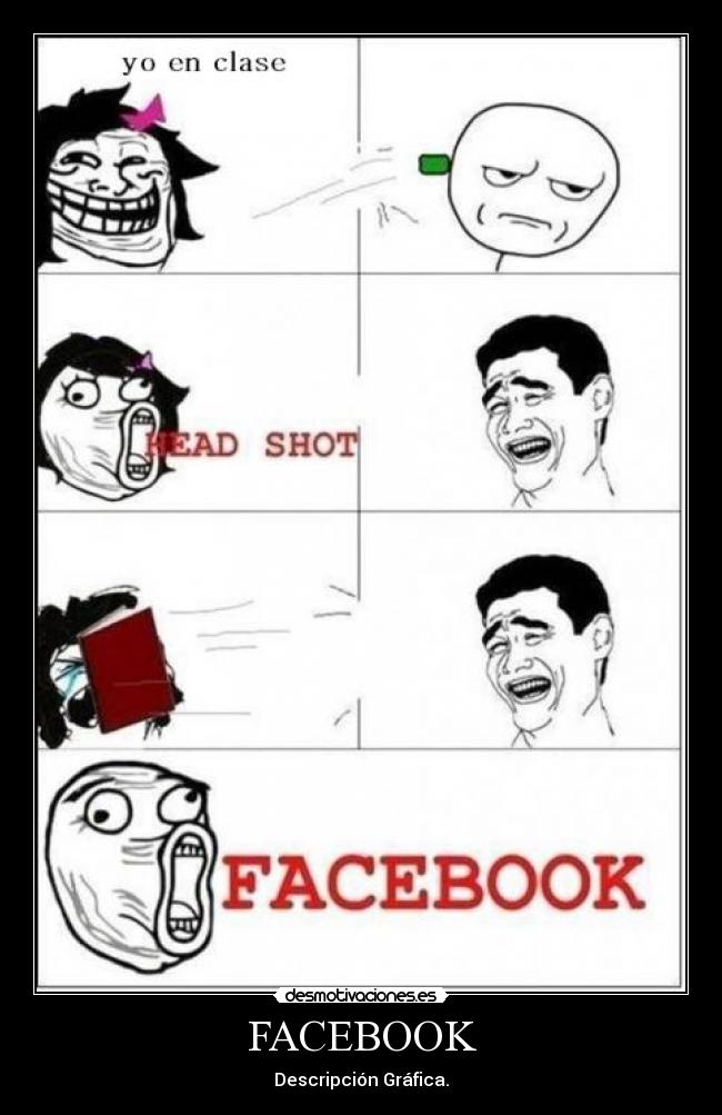 FACEBOOK - Descripción Gráfica.