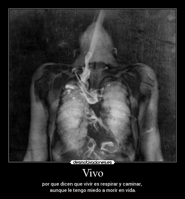 carteles darky10 feat ricardo arjona desmotivaciones