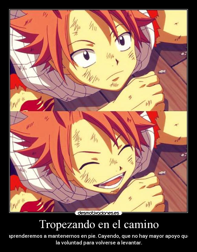 carteles fairy tail natsu dragneel harukaze desmotivaciones