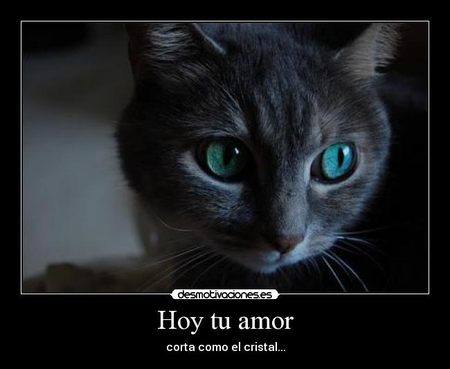 Hoy tu amor - 