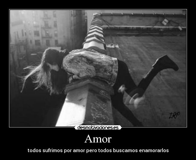 Amor - 
