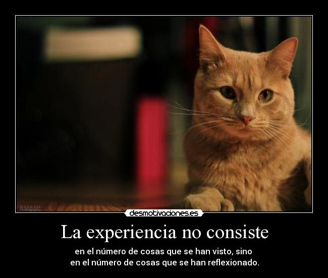 La experiencia no consiste - en el número de cosas que se han visto, sino 
en el número de cosas que se han reflexionado.