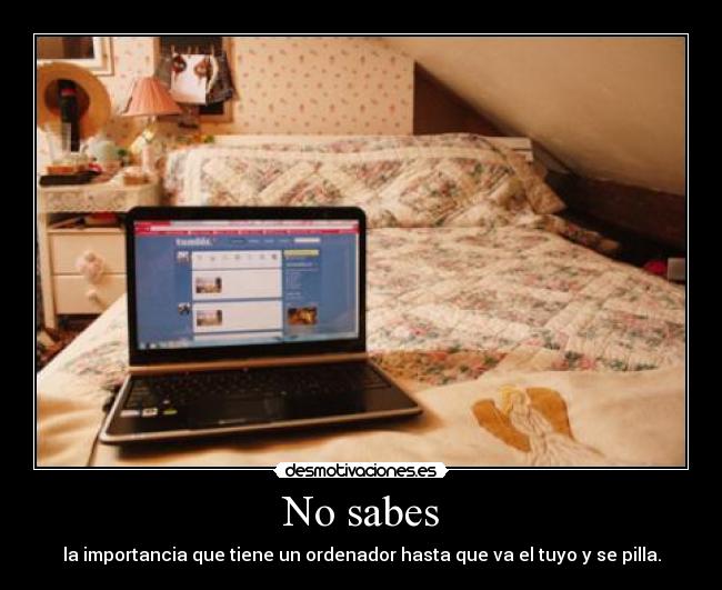 No sabes - la importancia que tiene un ordenador hasta que va el tuyo y se pilla.